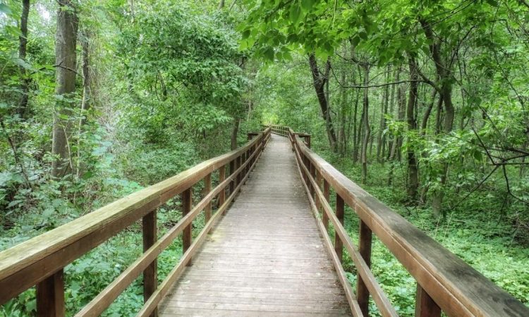 V Črnomlju želijo okrepiti turistično ponudbo