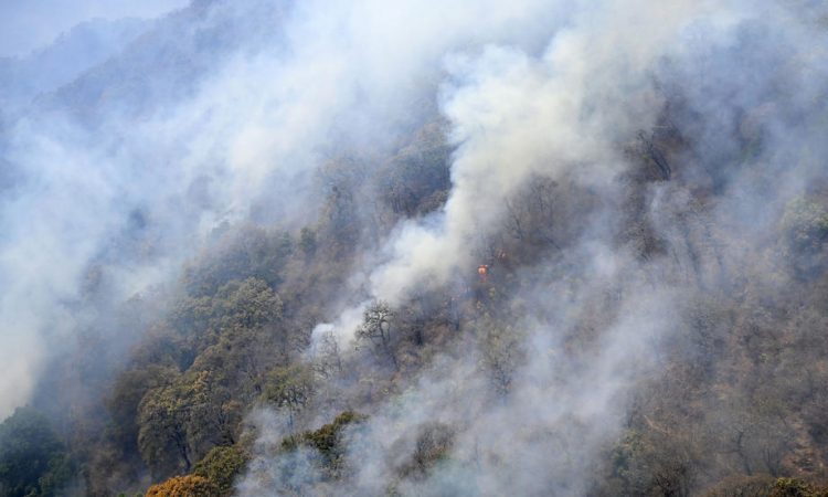 Za celotno državo razglašena velika požarna ogroženost
