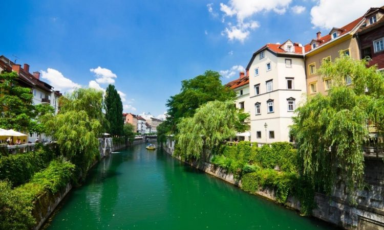 Janković: Navedbe o slabi kakovosti zraka v Ljubljani natolcevanja