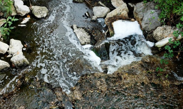 Na območju Bohinja opažajo onesnaženje potoka Ribnica