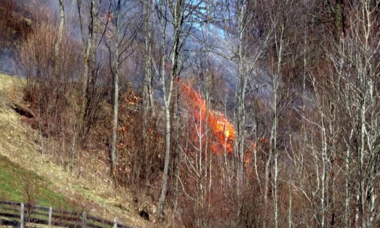 Obsežen požar na goriškem Krasu pod nadzorom
