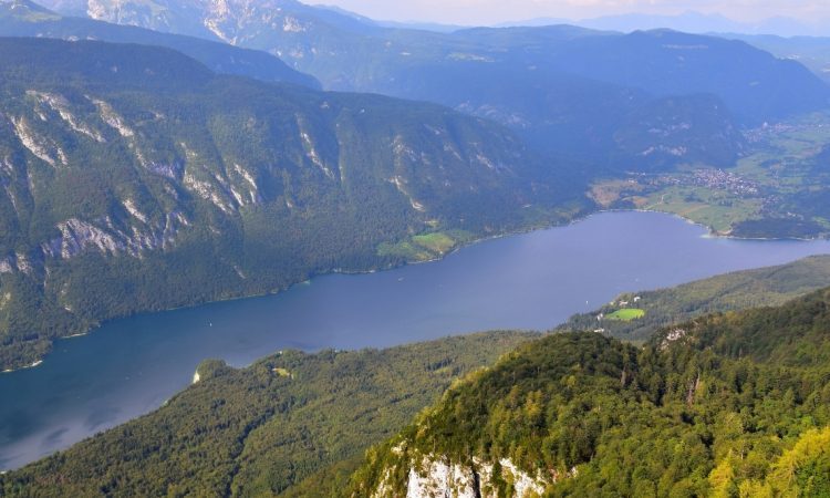 Prostovoljci iz tujine poleti prispevajo k večji urejenosti Bohinja