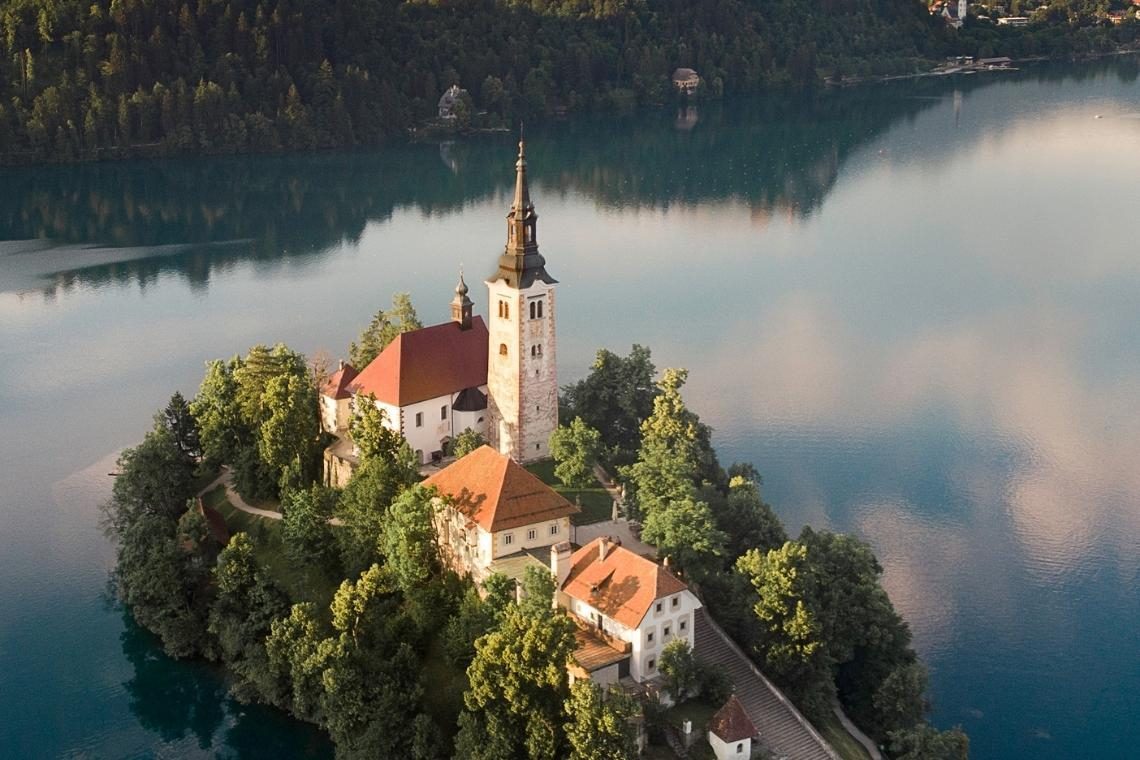 Na Bledu opozorila o onesnaženju vode in poginu rib