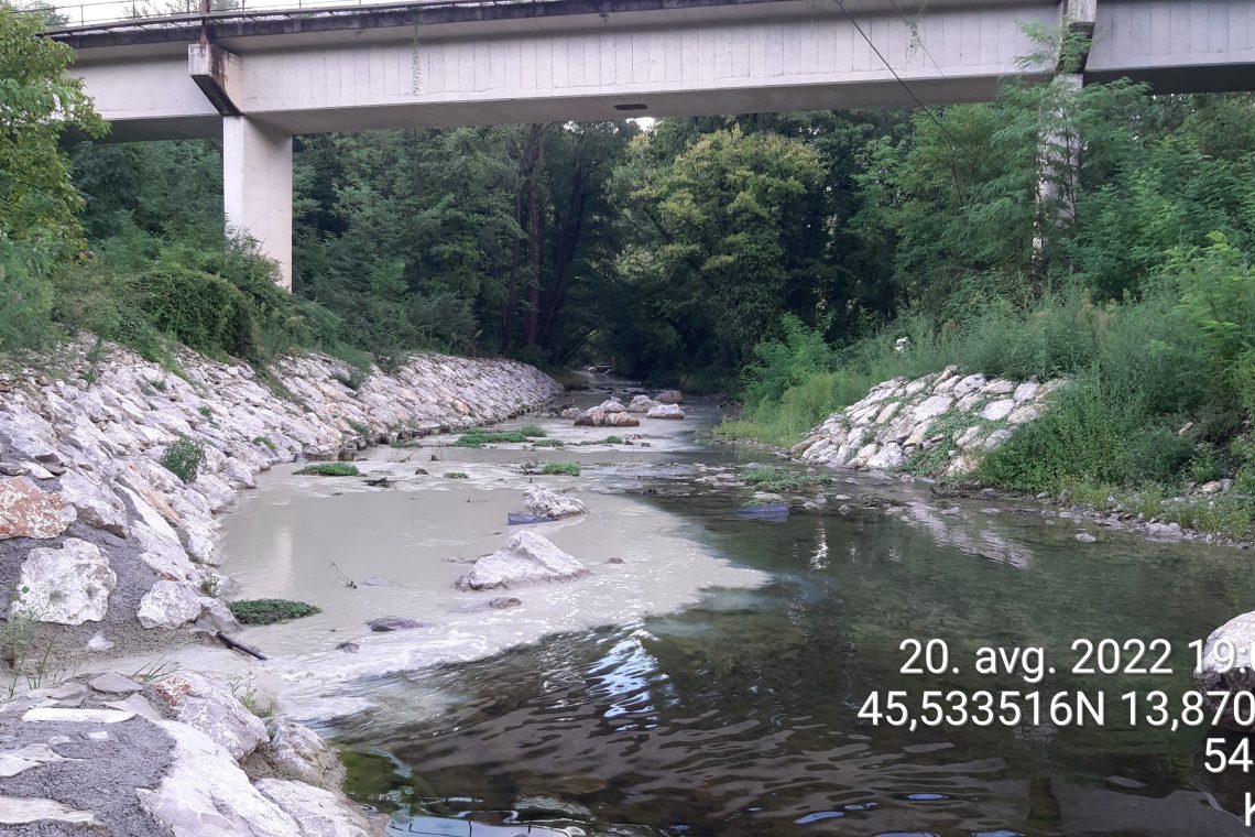 Alpe Adria Green z ovadbami zoper domnevne onesnaževalce Rižane