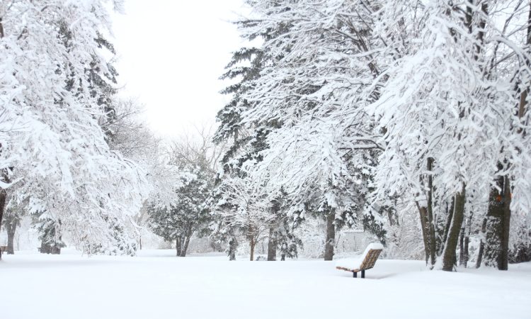 Na Koroškem se sneženje umirja, zaprtih več cest in šola Ojstrica