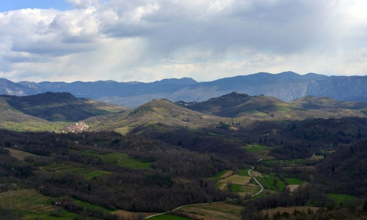 Požar na Krasu prinesel nova sodelovanja in turistične priložnosti