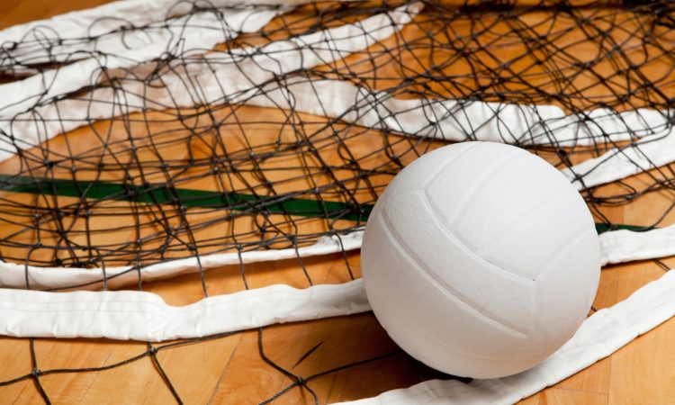 Calcit še tretji slovenski polfinalist