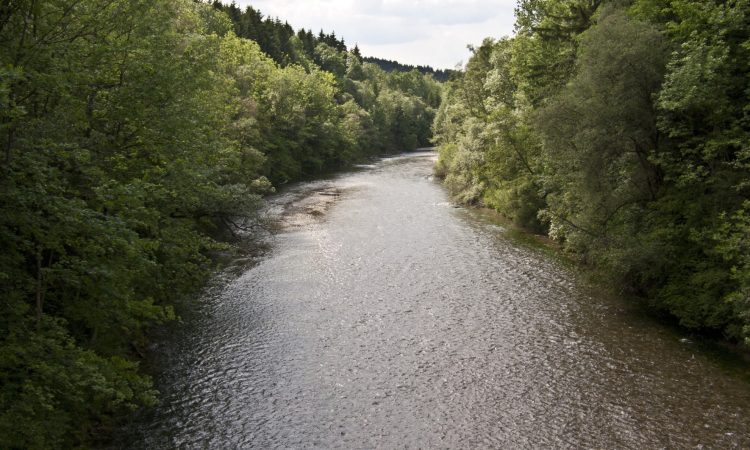 Civilna iniciativa Ločica-Breg pri Polzeli zahteva takojšnjo ureditev struge Savinje