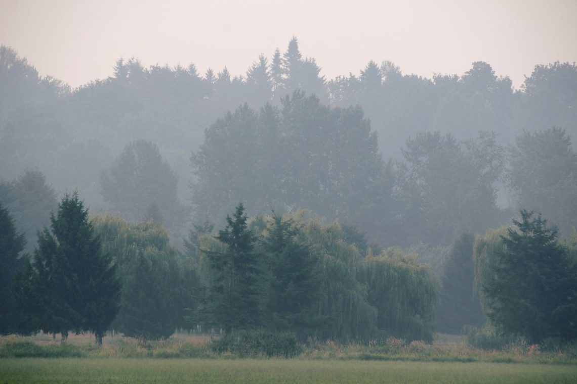 Kakovost zraka v nekaterih krajih zelo slaba