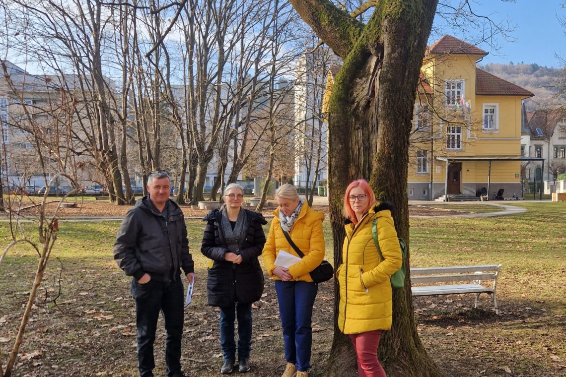 S strokovnimi pregledi varujemo in ohranjamo drevesa