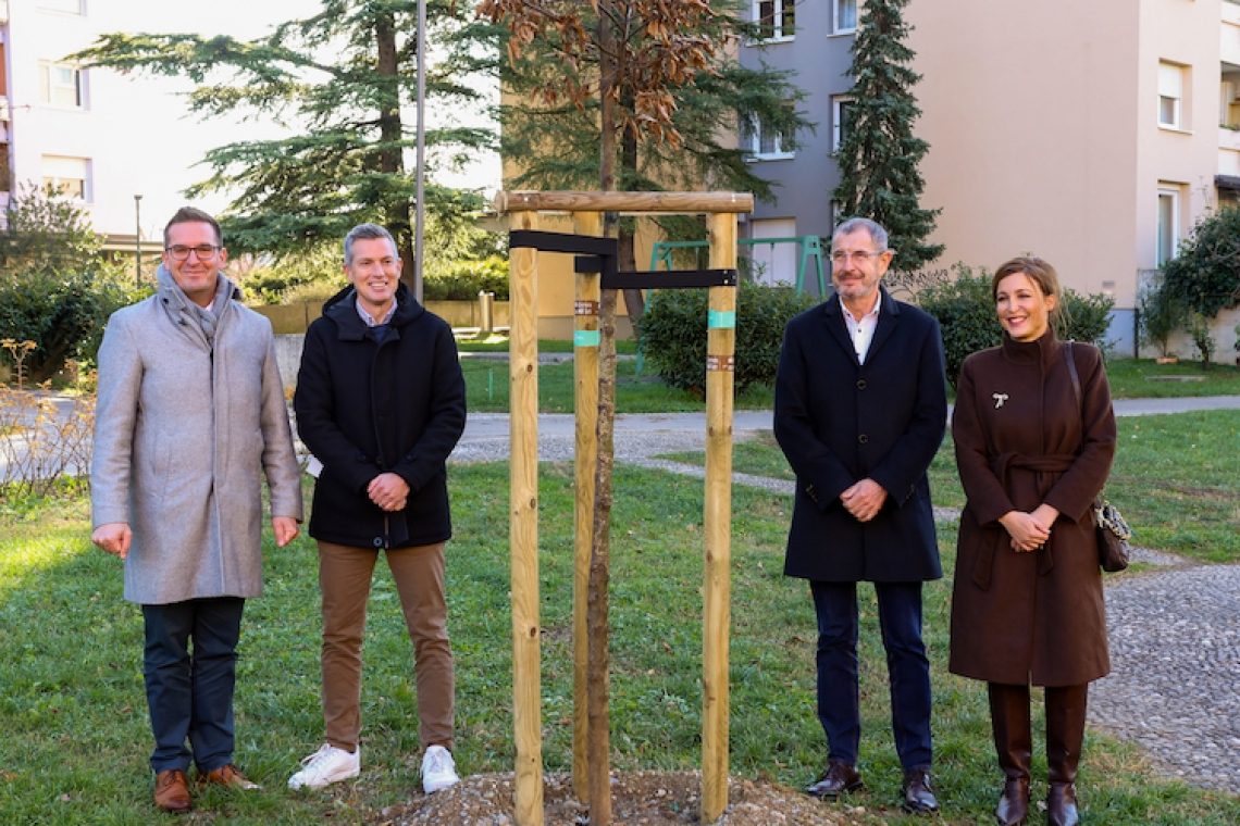 Posadili 60 novih dreves za 60 let Krajevne skupnosti Nova Gorica