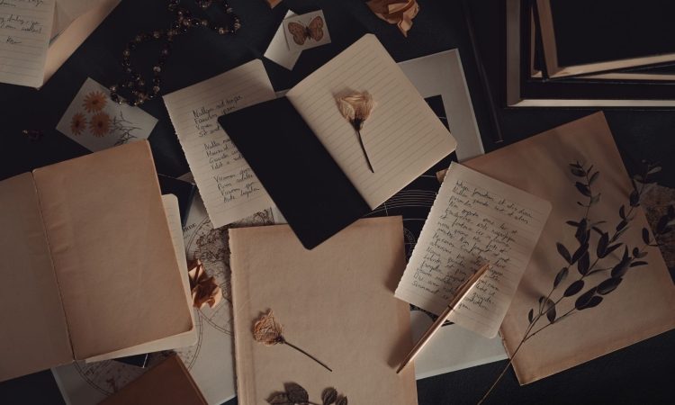Svetovni dan poezije v Celju z natečajem mala Veronika in premiero predstave