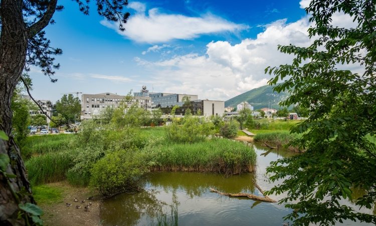 Nova Gorica vzpostavila kataster dreves za boljše upravljanje mestne vegetacije