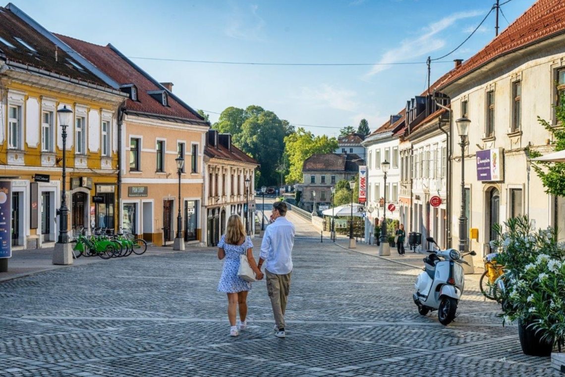 Novo mesto obdržalo bronasti znak Slovenia Green