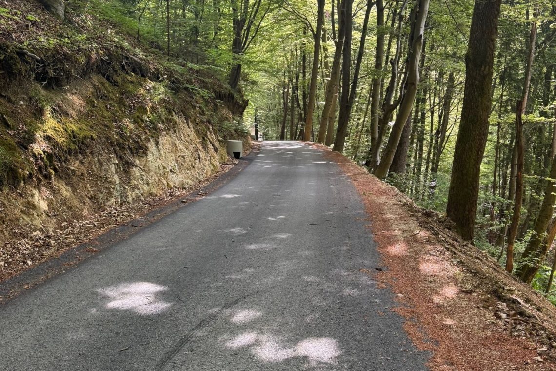 V Celju posodobljena javna pot med Šmartnim in Šentjungertom