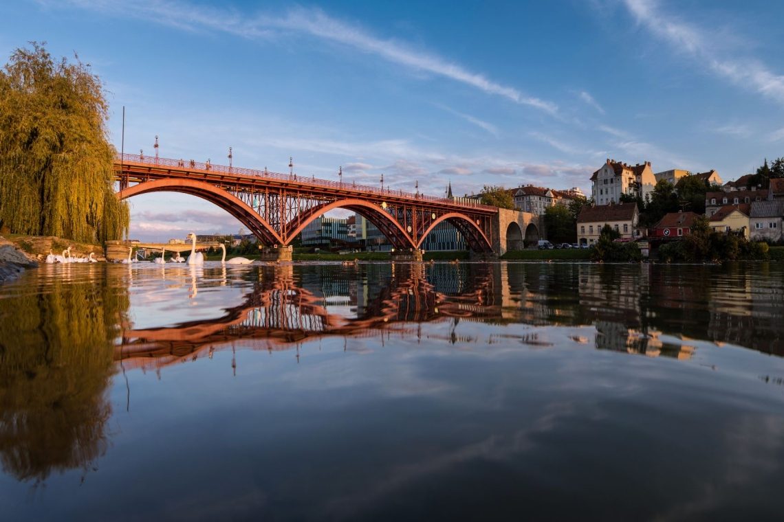 Cianotoksini le v gošči, voda Bohinjskega jezera trenutno brez nevarnosti